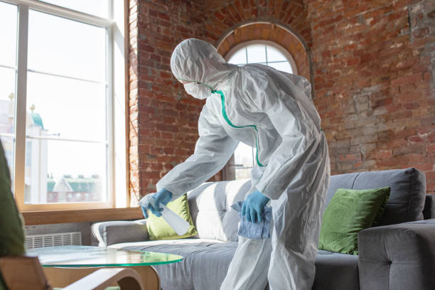 Mold Remediation for Rental Properties in Manasquan, NJ